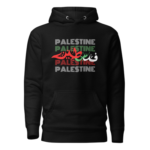 Palestine Statement  Hoodie